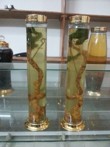 Rượu sâm Ngọc Linh - Rượu Quý Việt Nam
